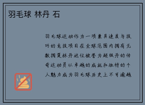 羽毛球 林丹 石